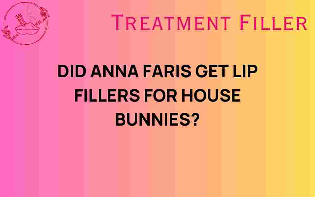 did-anna-faris-get-lip-fillers-house-bunnies