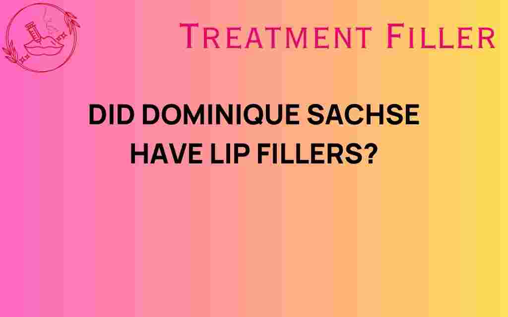 did-dominique-sachse-have-lip-fillers